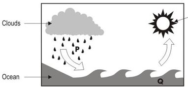 ""NCERT-Solutions-Class-4-Environmental-Studies-Chapter-12-Changing-Times-8