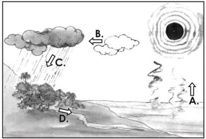 ""NCERT-Solutions-Class-4-Environmental-Studies-Chapter-13-A-Rivers-Tale-5