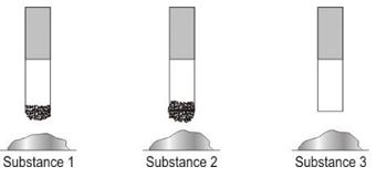 ""NCERT-Solutions-Class-4-Environmental-Studies-Chapter-14-Basvas-Farm-2