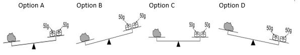 ""NCERT-Solutions-Class-4-Environmental-Studies-Chapter-15-From-Market-To-Home-1