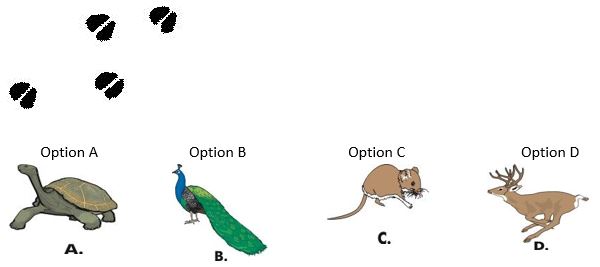 ""NCERT-Solutions-Class-4-Environmental-Studies-Chapter-16-A-Busy-Month