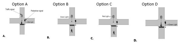 ""NCERT-Solutions-Class-4-Environmental-Studies-Chapter-17-Nandita-In-Mumbai