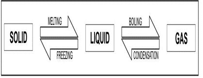 ""NCERT-Solutions-Class-4-Environmental-Studies-Chapter-18-Too-Much-Water-Too-Little-Water-11