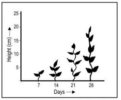 ""NCERT-Solutions-Class-4-Environmental-Studies-Chapter-19-Abdul-In-The-Garden-5