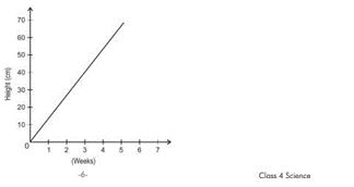 ""NCERT-Solutions-Class-4-Environmental-Studies-Chapter-19-Abdul-In-The-Garden-7