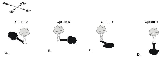 ""NCERT-Solutions-Class-4-Environmental-Studies-Chapter-19-Abdul-In-The-Garden-8