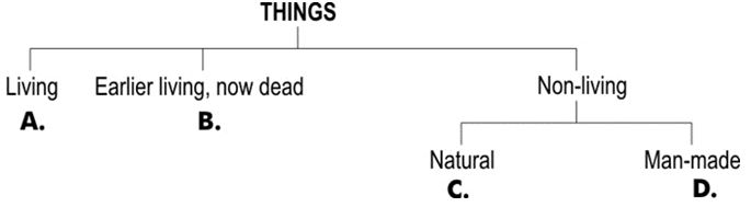 ""NCERT-Solutions-Class-4-Environmental-Studies-Chapter-19-Abdul-In-The-Garden