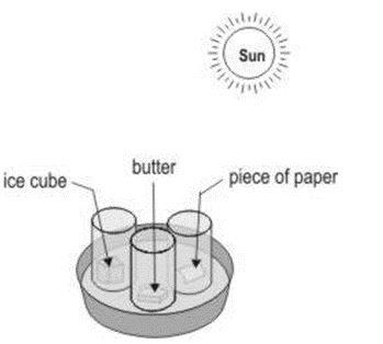 ""NCERT-Solutions-Class-4-Environmental-Studies-Chapter-22-The-World-In-My-Home-6