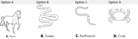 ""NCERT-Solutions-Class-4-Environmental-Studies-Chapter-3-A-Day-With-Nandu