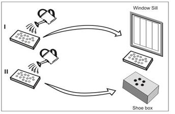 ""NCERT-Solutions-Class-4-Environmental-Studies-Chapter-4-The-Story-of-Amrita