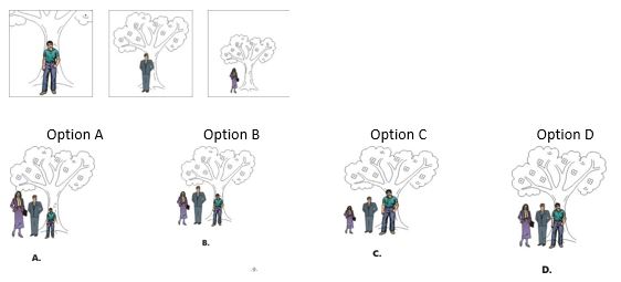 ""NCERT-Solutions-Class-4-EnvironmentalStudies-Chapter-7-From-The-Window