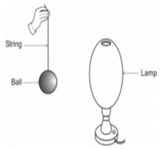 ""NCERT-Solutions-Class-5-Environmental-Studies-Chapter-11-Sunita-in-space-11