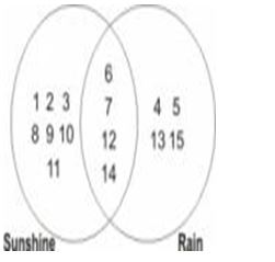 ""NCERT-Solutions-Class-5-Environmental-Studies-Chapter-11-Sunita-in-space-12