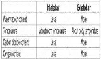 ""NCERT-Solutions-Class-5-Environmental-Studies-Chapter-15-Blow-hot-block-cold-9