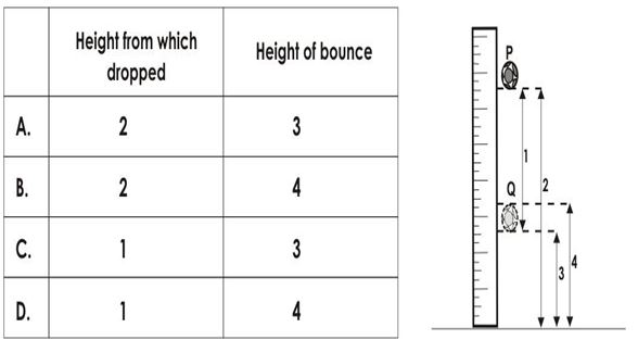 ""NCERT-Solutions-Class-5-Environmental-Studies-Chapter-17-Across-the-wall-1