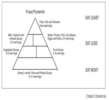 ""NCERT-Solutions-Class-5-Environmental-Studies-Chapter-2-A-snake-Charmers-story-3