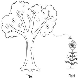 ""NCERT-Solutions-Class-5-Environmental-Studies-Chapter-20-Whose-forests-2