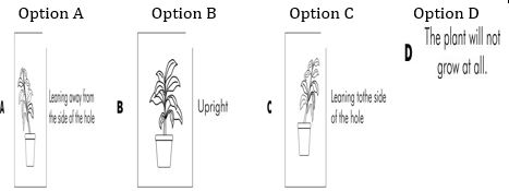 ""NCERT-Solutions-Class-5-Environmental-Studies-Chapter-5-Seeds-and-Seeds