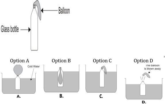 ""NCERT-Solutions-Class-5-Environmental-Studies-Chapter-7-Experiments-with-water-2