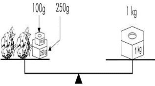 ""NCERT-Solutions-Class-5-Mathematics-Chapter-1-The-Fish-Tale-4