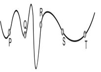 ""NCERT-Solutions-Class-5-Mathematics-Chapter-8-Mapping-Your-Way-7