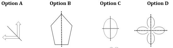 ""NCERT-Solutions-Class-6-Mathematics-Chapter-13-Symmetry-3