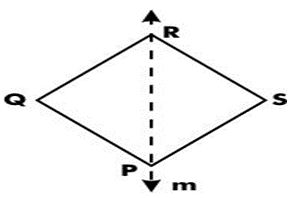 ""NCERT-Solutions-Class-6-Mathematics-Chapter-13-Symmetry-7