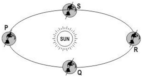 ""NCERT-Solutions-Class-6-Science-Chapter-10-Motion-and-Measurement-of-Distances-11