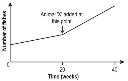 ""NCERT-Solutions-Class-6-Science-Chapter-9-The-Living-Organisms-and-Their-Surroundings-4