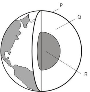 ""NCERT-Solutions-Class-6-Science-Chapter-9-The-Living-Organisms-and-Their-Surroundings-5