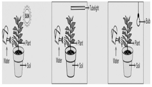 ""NCERT-Solutions-Class-9-Science-Chapter-15-Improvement-in-Food-Resources