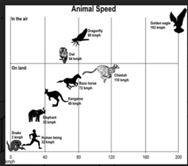 ""NCERT-Solutions-Class-9-Science-Chapter-7-Diversity-in-Living-Organisms