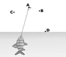 ""NCERT-Solutions-Class-9-Science-Chapter-9-Force-and-Laws-of-Motion