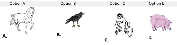 ""NCERT-Solutions-Class4-Environmental-Studies-Chapter-2-Ear-To-Ear