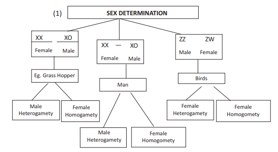 cbse_class_12_biology_PRINCPLE_2