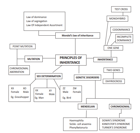 cbse_class_12_biology_PRINCPLE_7