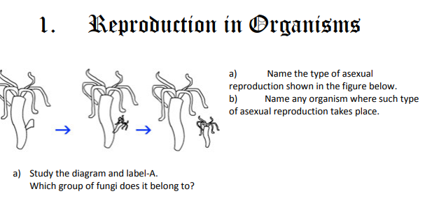 cbse_class_12_biology_REPRODUCTION_6