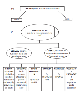 cbse_class_12_biology_REPRODUCTION_8