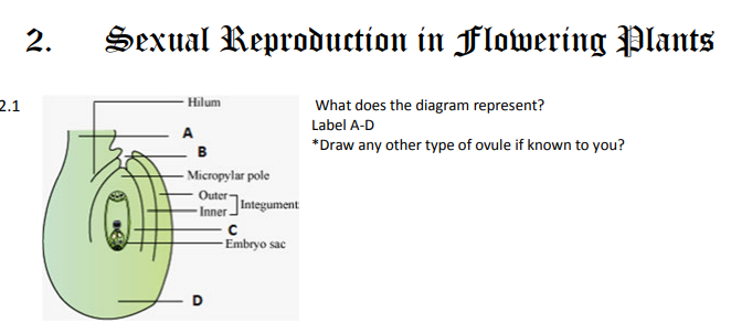 cbse_class_12_biology_sexual_3