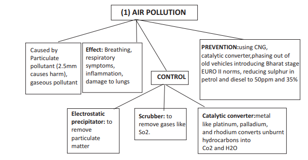 CBSE Class 12 Biology Environmental Issues Flow Chart