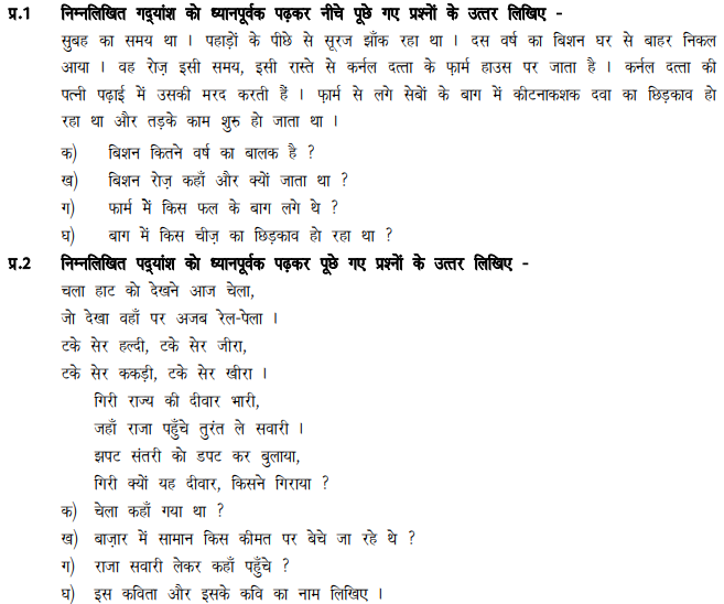 cbse class 5 hindi sample paper set h