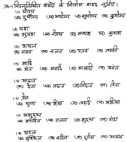 CBSE Class 6 Hindi Sample Paper Set W