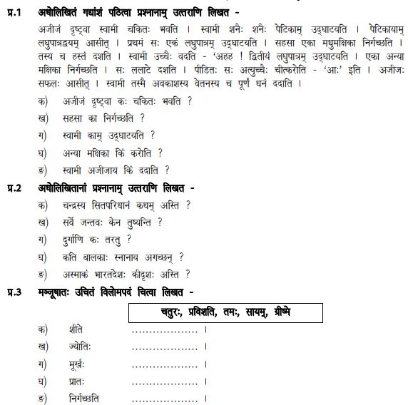 Cbse Class 6 Sanskrit Sample Paper Set G Photos