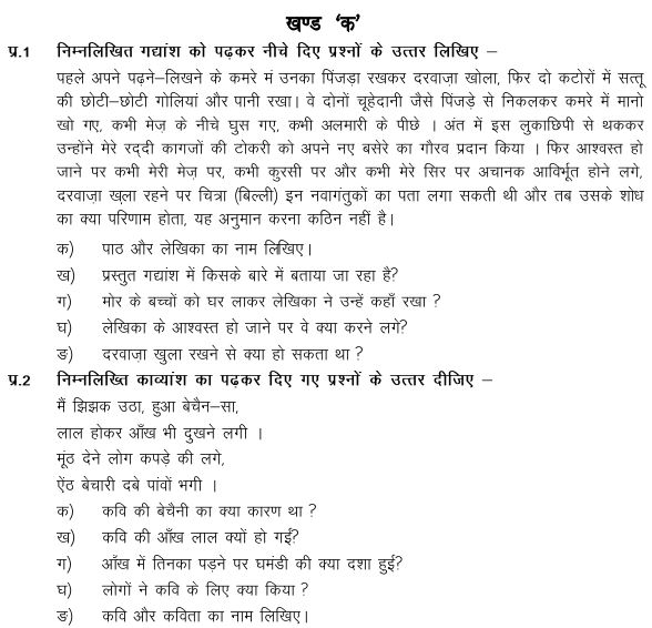 CBSE Class 7 Hindi Sample Paper Set S