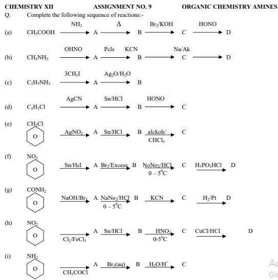 CBSE Class 12 Chemistry Worksheet Organic Chemistry Amines Practice 