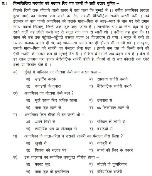 Class_8_Hindi_Sample_Paper_15