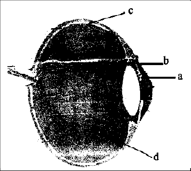 n83