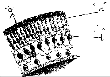 n87