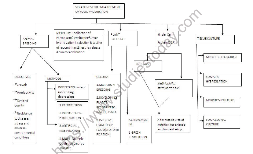 CBSE Class 12 Biology Strategies for Enhancement of Food Production Mind Map