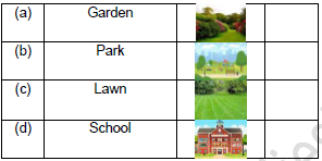 CBSE Class 3 English The Magic Garden Worksheet Set B1